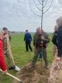 Sázení líp v Aleji československých parašutistů_4