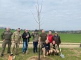 Alej československých parašutistů ve Střížově u Vladislavi (Třebíčsko)_6